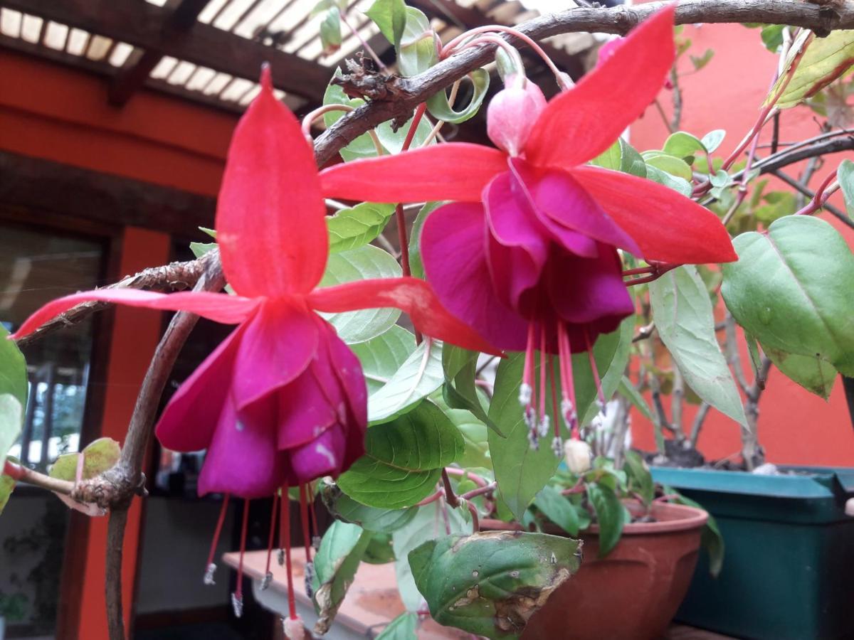 Posada La Sonada Tafí del Valle Εξωτερικό φωτογραφία
