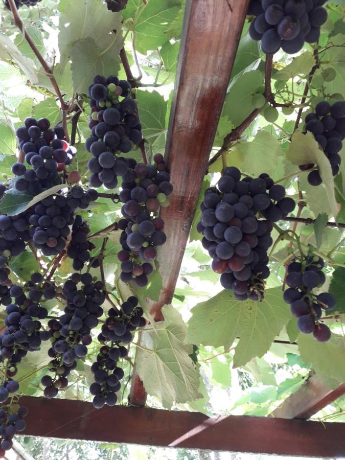 Posada La Sonada Tafí del Valle Εξωτερικό φωτογραφία